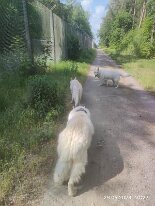 347265890_591680346103680_336459708603577743_n