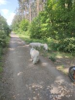 350258227_573992081581428_1424474510440978713_n