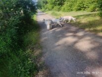 350298775_2213655498830287_6702189504923958508_n