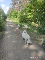 350431818_1219955011999637_4429490552288050501_n