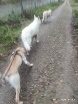 395979465_1306021676942750_9121283897308521850_n