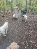 396914237_1306021500276101_5473454562083763893_n