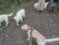 396930092_1306021326942785_7748649564700651623_n