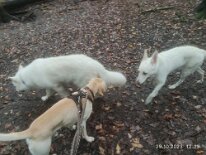 396945516_1306022013609383_154317535469504968_n