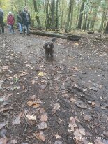 396954482_1306021630276088_2163918213774652733_n