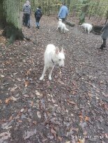 396954695_1306021990276052_8405126315068412809_n