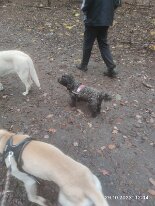 396960213_1306022066942711_6141334878493049518_n