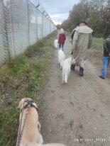 396961605_1306021860276065_4565692225140766695_n