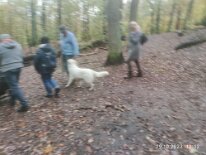 396964158_1306021960276055_2894576059976898275_n