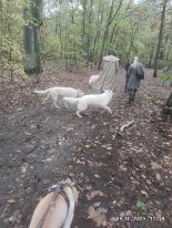 396974593_1306021596942758_243885016975236485_n