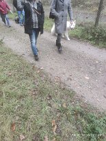 396978576_1306021703609414_4325374793001604166_n