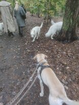 396994490_1306021363609448_2312030759345742832_n