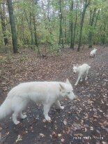 398076836_1306021656942752_5227363384013324968_n