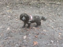 398083785_1306022096942708_4992990953888565055_n