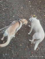 398086381_1306022130276038_5145918986157205914_n