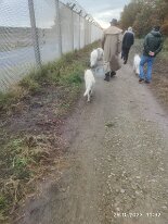 398089510_1306021800276071_7788319313612952507_n