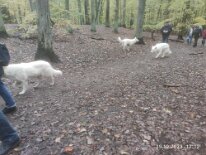 398101045_1306021930276058_6437265496690612378_n