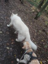 398124379_1306021550276096_7531356791835969109_n