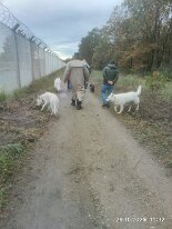 398155980_1306021833609401_7703684323382578269_n