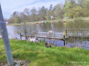 01.05.23 - Tour am Tag der Arbeit