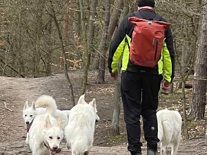 02.04.23 - Tour in Frohnau