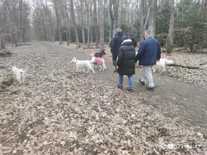 08.02.23 - Tour am int. Frauentag