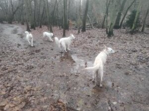 10.12.23 - Tour in Hakenfelde