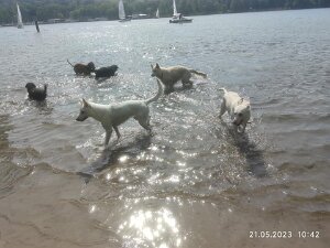 21.05.23 - Tour in Pichelswerder