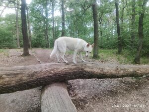 29.05.23 - Pfingst - Tour