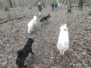 31.12.23 - Jahres - Abschluss - Tour