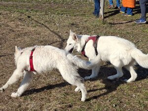 Treffen am 04. März