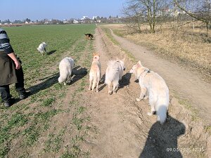 Treffen am 9. März