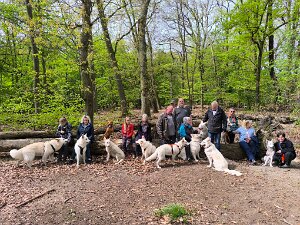 Treffen / Veranstaltungen