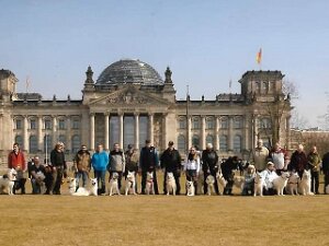 Unsere Geschichte . Die Gruppe der weißen Schäferhunde Berlin - Brandenburg führt Ihren Ursprung auf das Jahr 2013 zurück. Zu diesem...